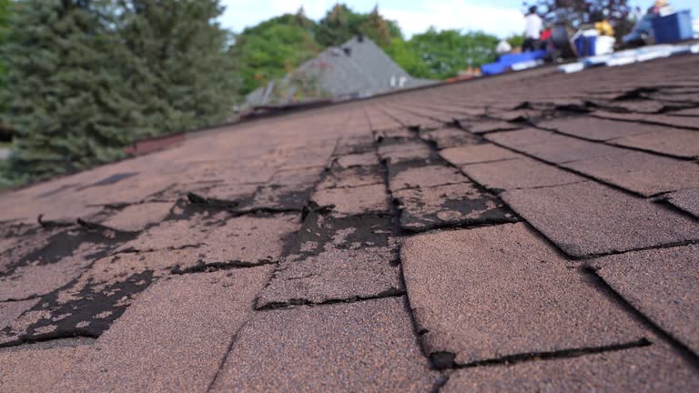 Asphalt Shingles Roofing in Milford Square, PA